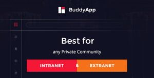 BuddyApp WordPress Theme