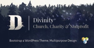 Divinity WordPress Theme